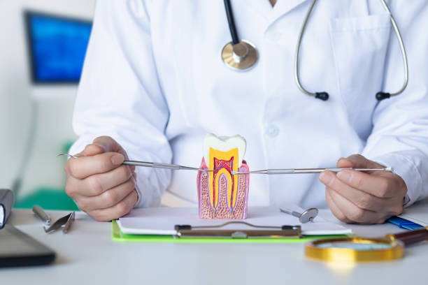 Best Emergency Dental Surgery in Chico, CA